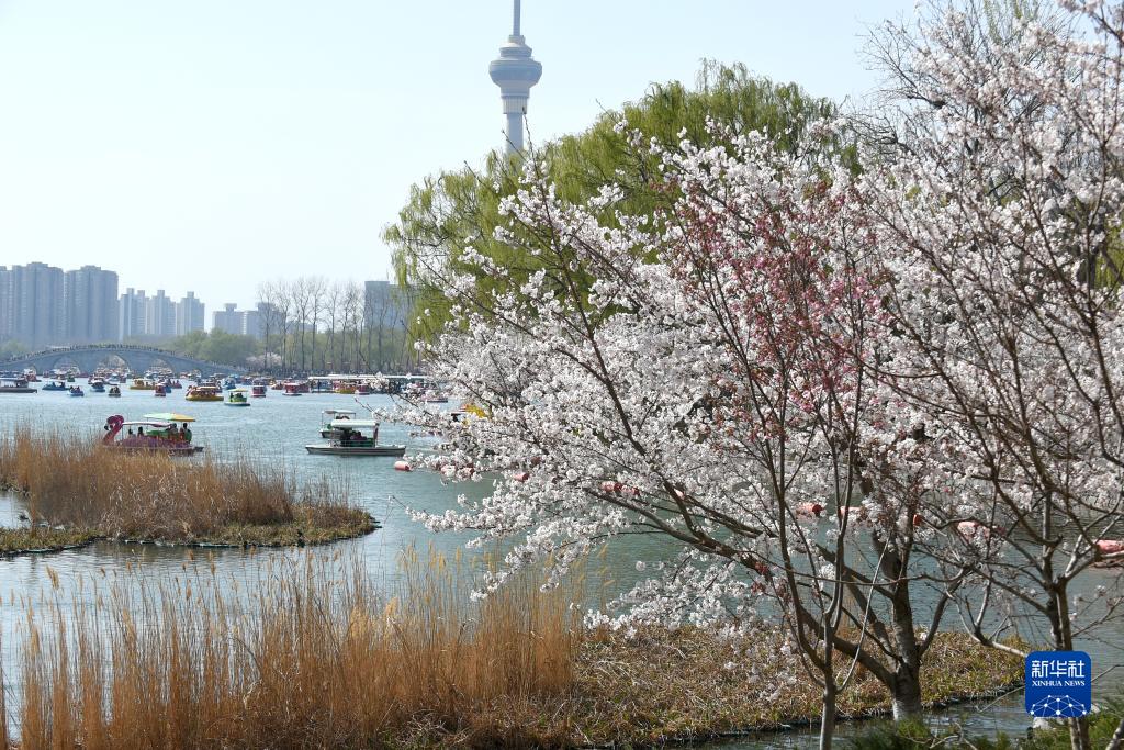 　　截至6月13日，全省大、中型水库可用水总量40.48亿立方米，储量充足有保证，按照6月底前无有效降雨的最不利因素考虑，可放水7亿立方米用于抗旱灌溉；南水北调中线工程、大中型水库及河道供水正常，地下水源较充沛，能够满足抗旱需求。5月下旬以来，对全省98.72万眼农田建设灌溉机井和56.85万项灌排沟渠设备进行全面排查，及时修复损坏设施，确保抗旱灌溉需要。省财政近期专门安排3000万抗旱专项资金，支持各地开展抗旱工作。