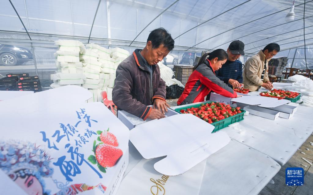 　　中欧班列运行品质不断提升。前四个月，每周稳定开行5列西安与德国杜伊斯堡、成都与波兰罗兹间全程时刻表中欧班列，并在境外增加16个中欧班列还箱点，更好满足全球客户的多样化需求。